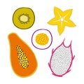 Vector tropical set with exotic sliced Ã¢â¬â¹Ã¢â¬â¹fruits: papaya, kiwi, pitaya, carambola, passion fruit. Trendy summer design Royalty Free Stock Photo